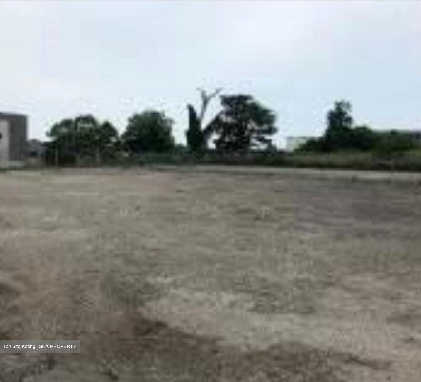 Loyang Industrial Estate (D17), Factory #506338871